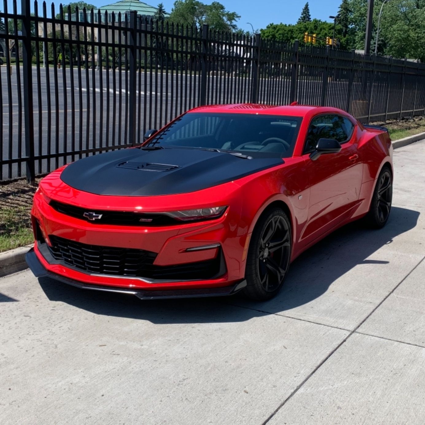 Profile of Alex Cooley