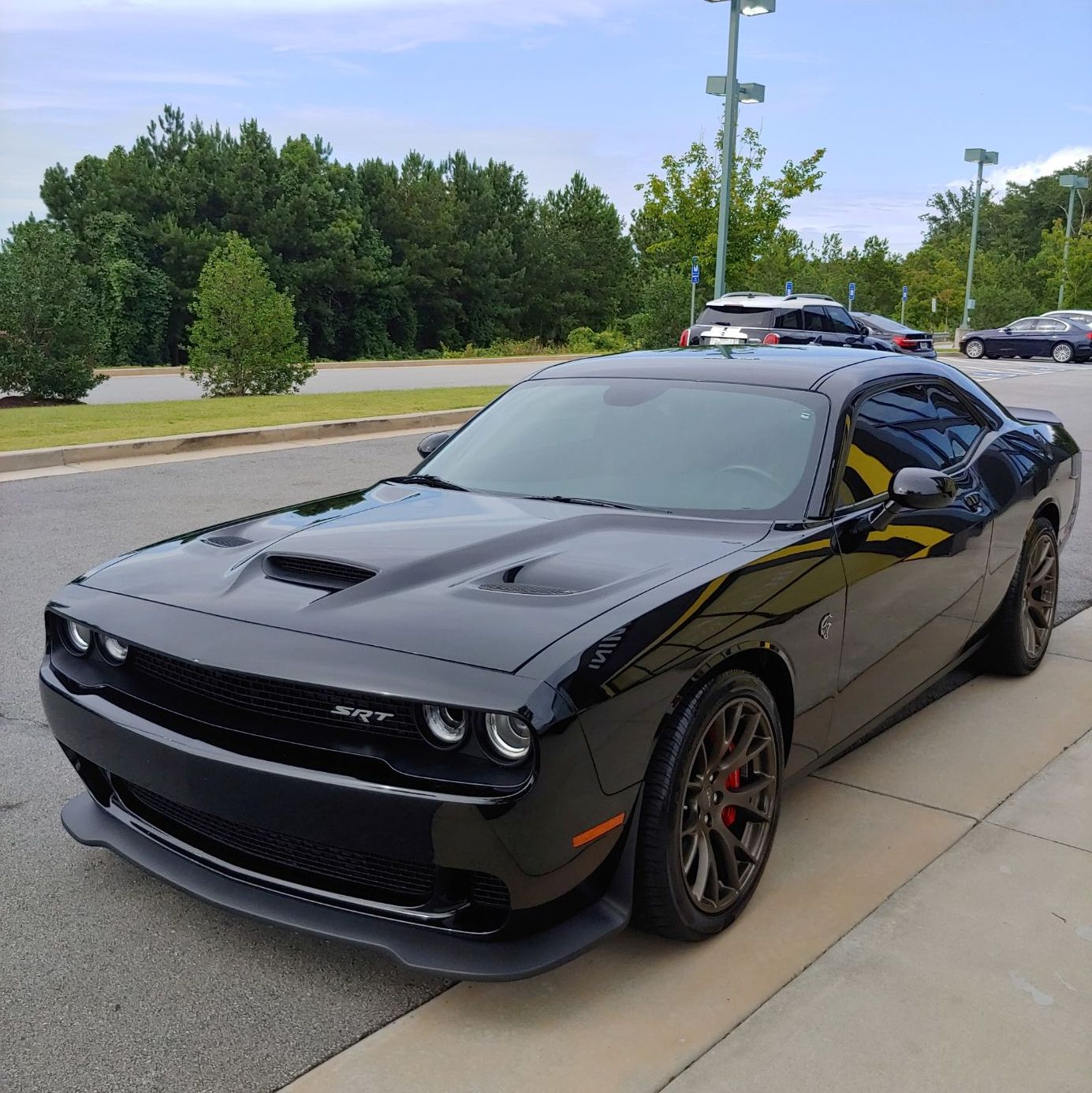 Profile of Will Brown