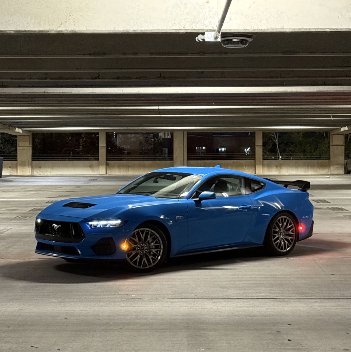 Profile of Trenton Rogan