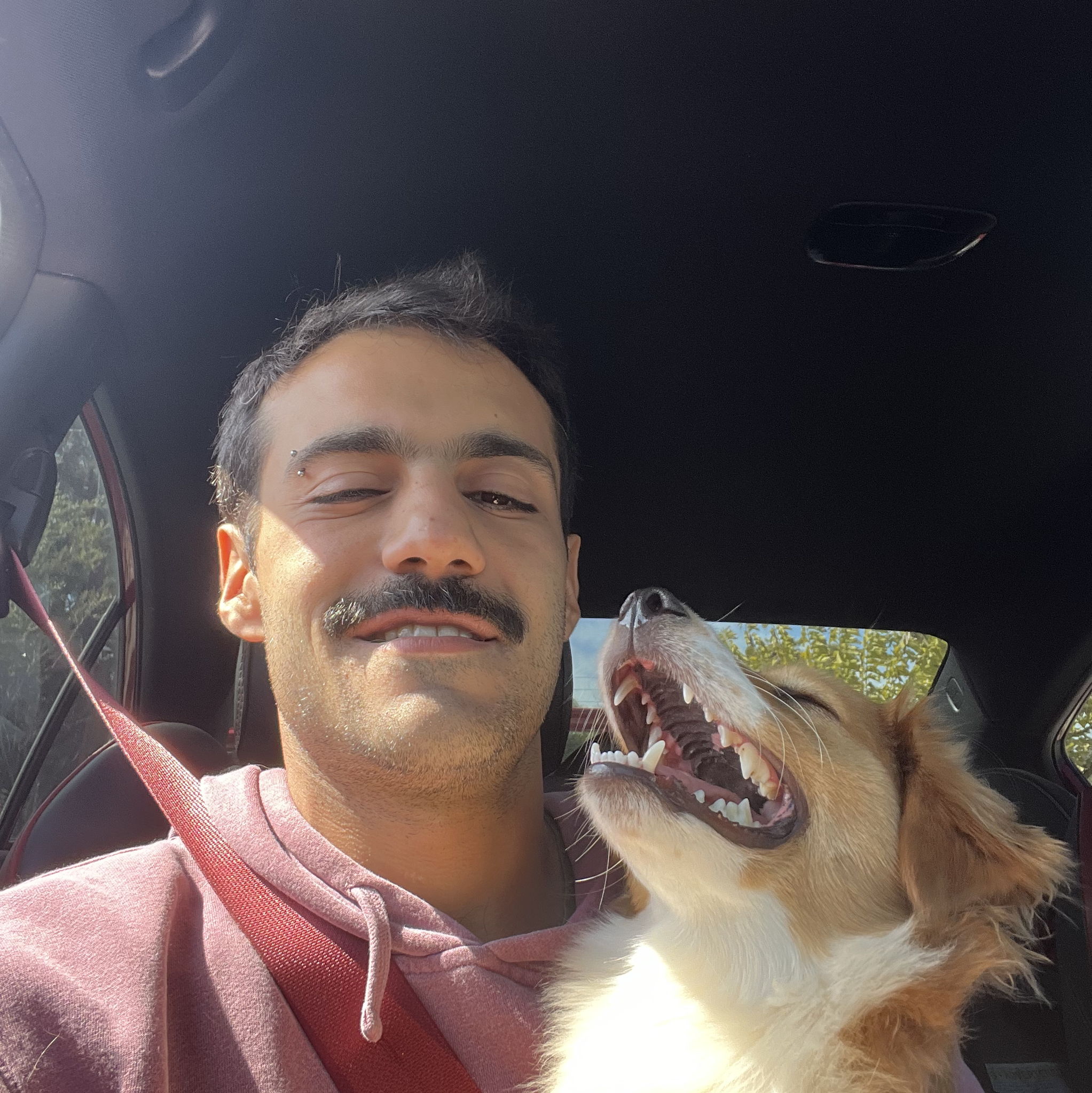 Profile of Antoine Michaelian