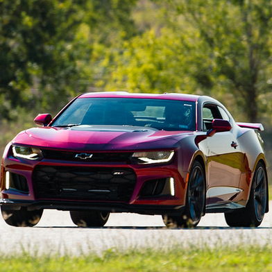 Profile of Mark Condos