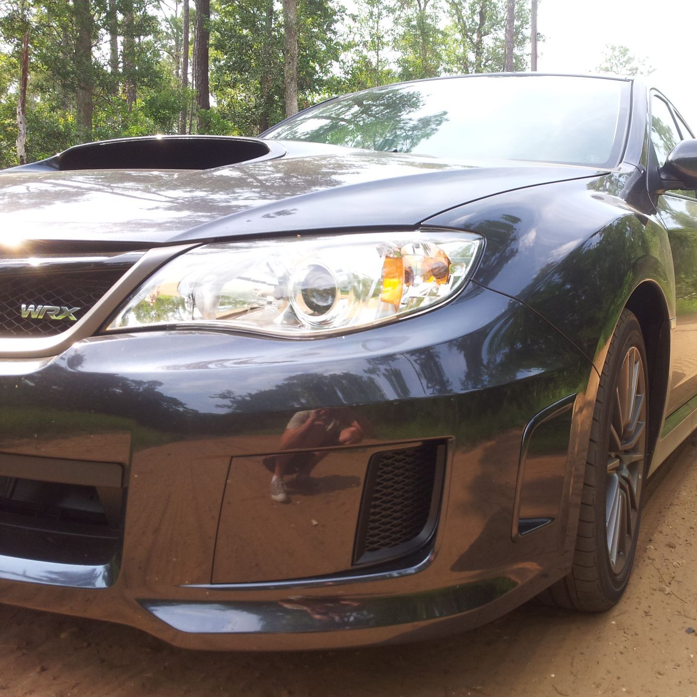 Profile of Nathan Curtis