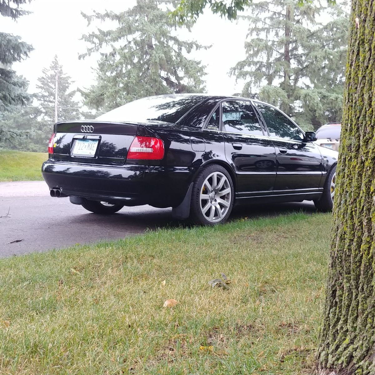 Profile of Gavin Goodoien