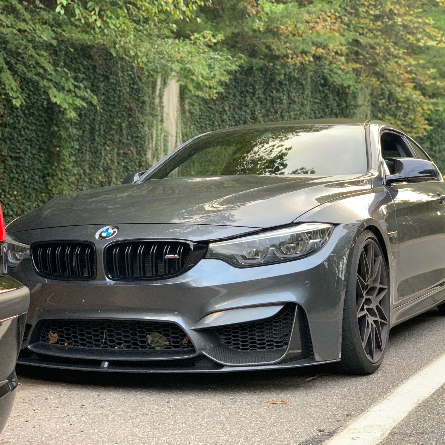 Profile of Anel Sahinovic