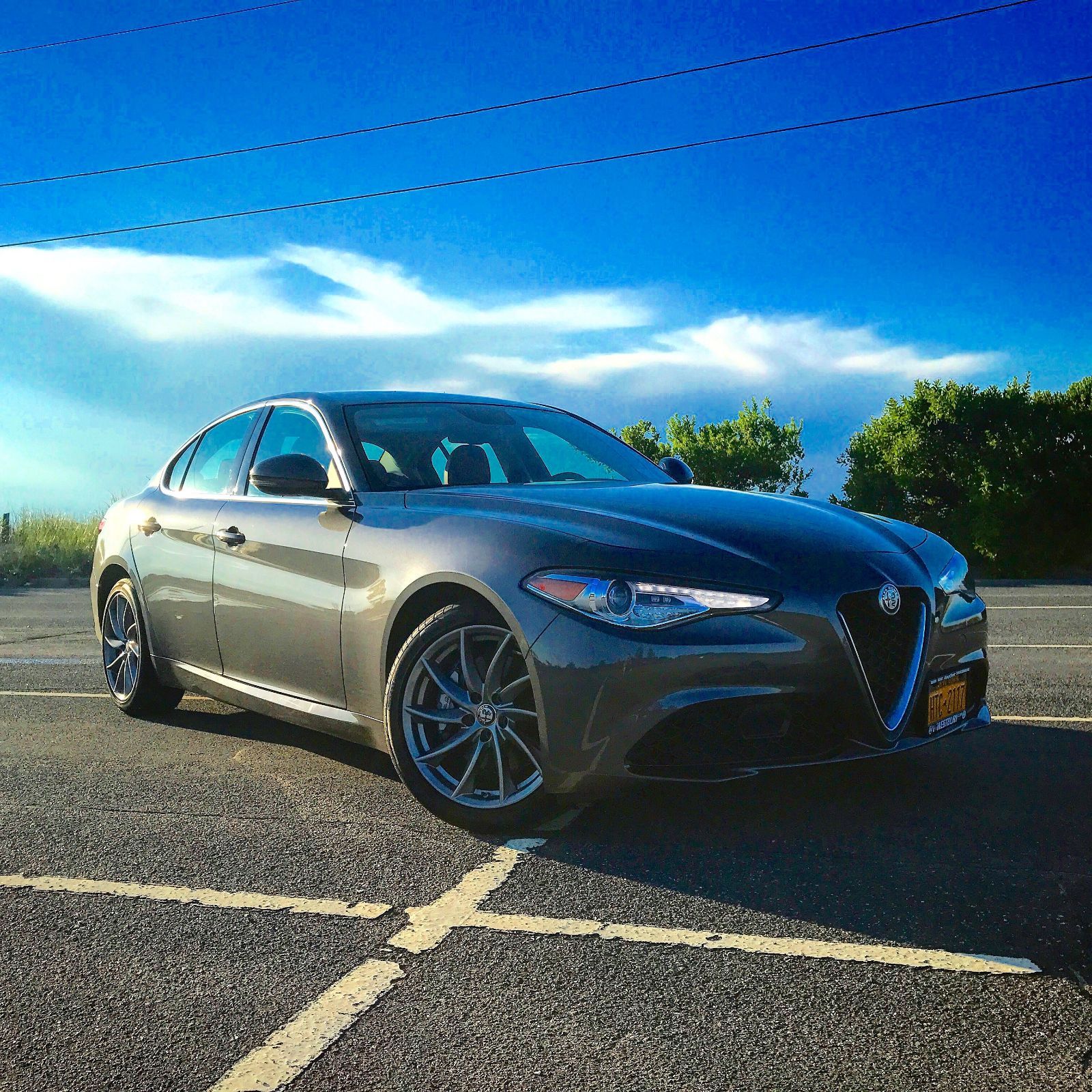 Profile of Niklas Helmick