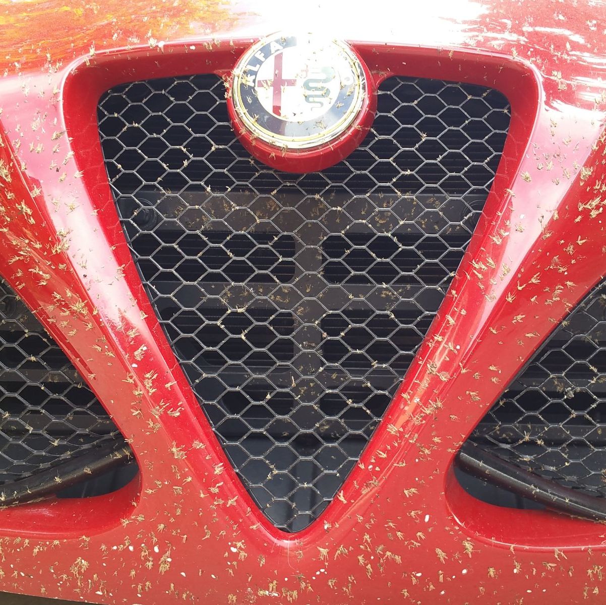 Profile of Robert Russell