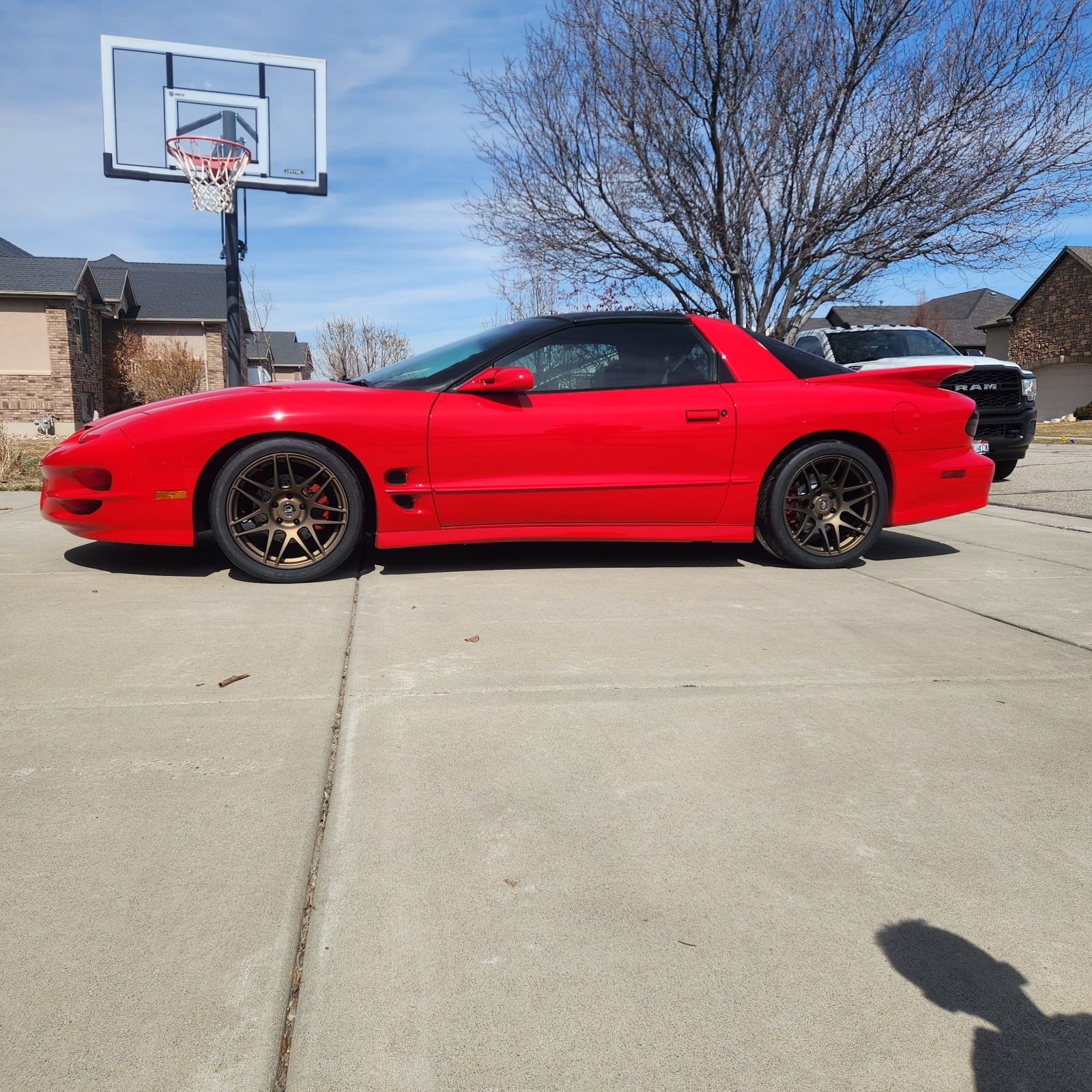 Profile of Brett Walton
