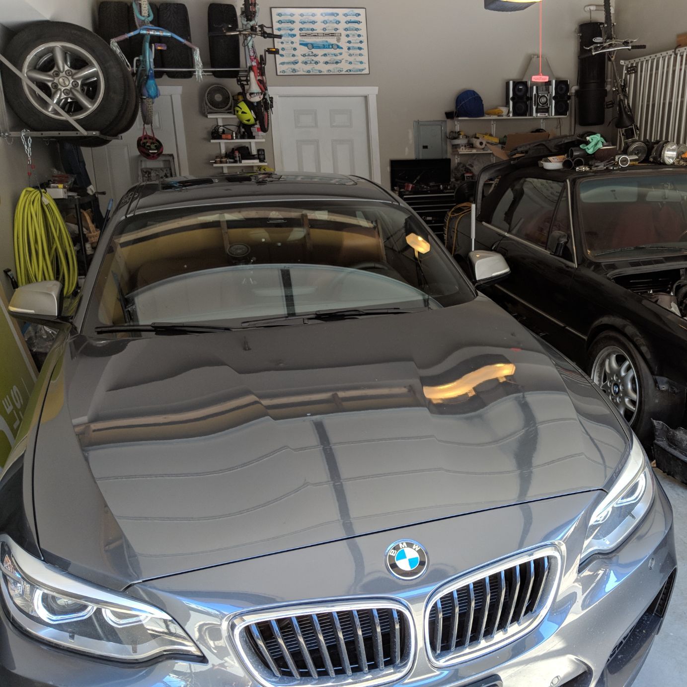 Profile of Peter Mejia