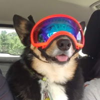 Profile of Wei-Ting Chen