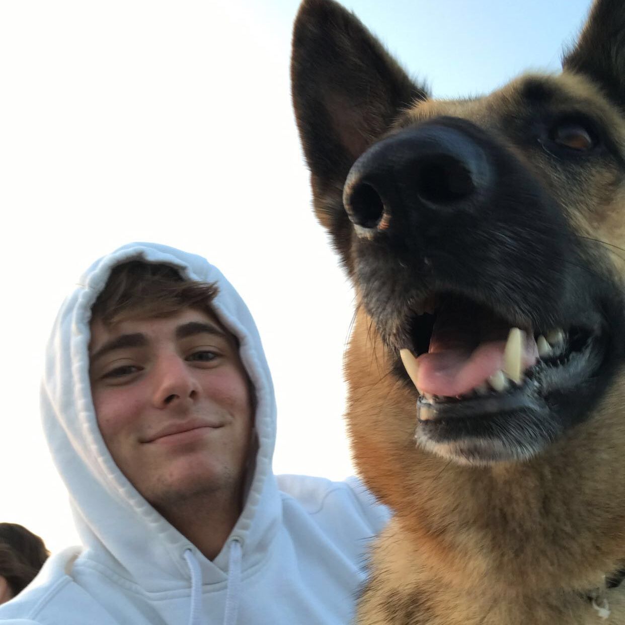 Profile of Andrew McArdle