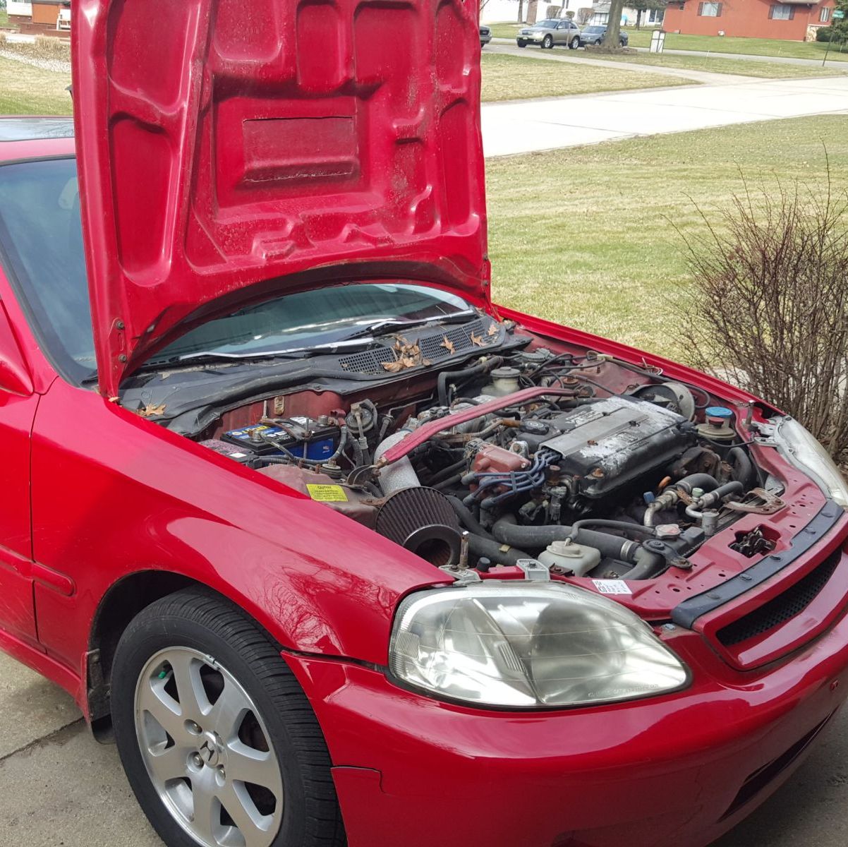 Profile of David Wack