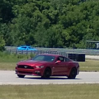 Profile of Timothy Kalvelage