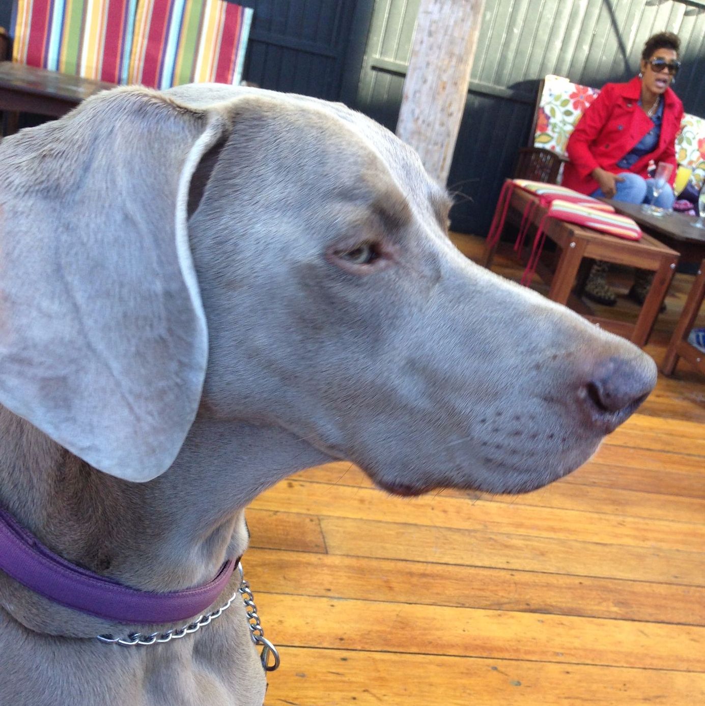 Profile of Ray G