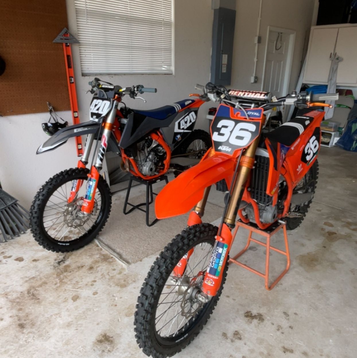 Profile of Zane Lenart