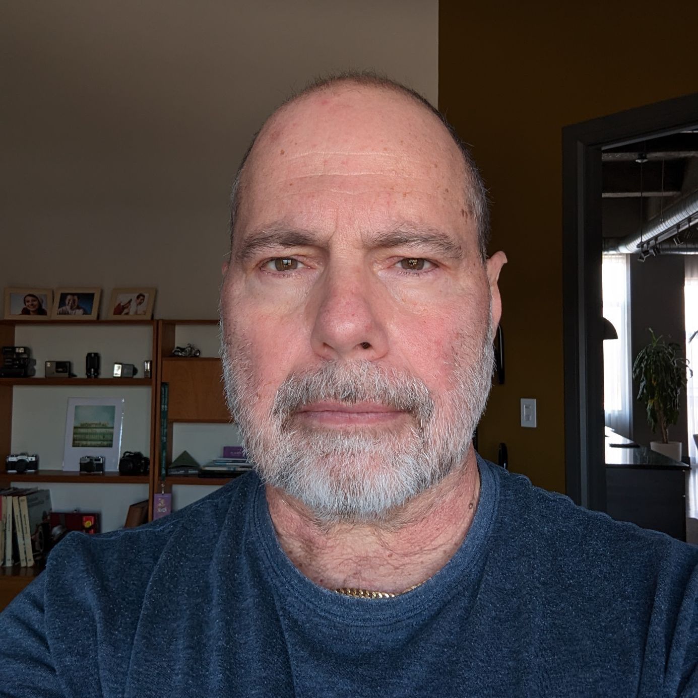 Profile of Joseph Ciccarelli