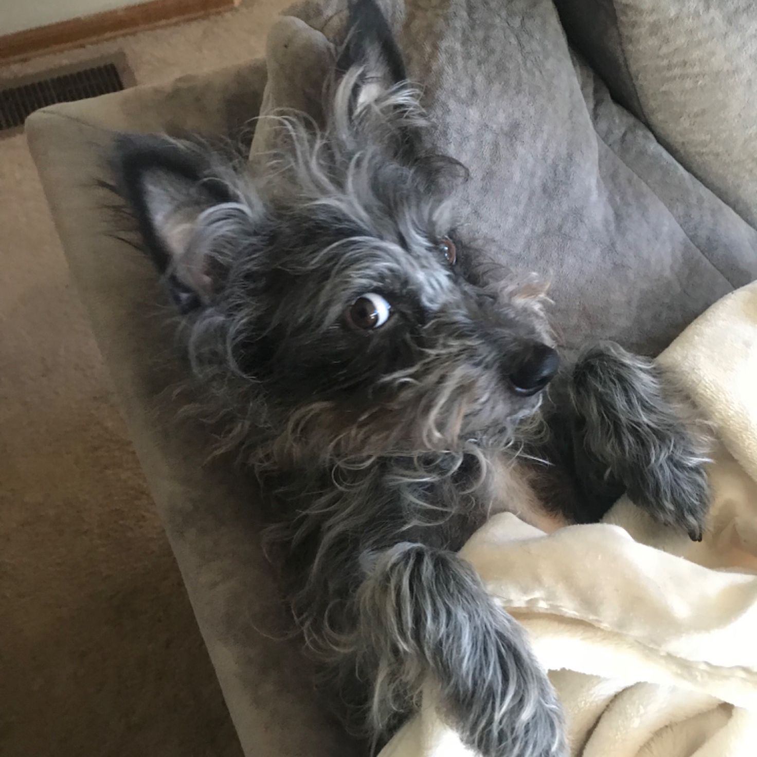 Profile of Jason Plane