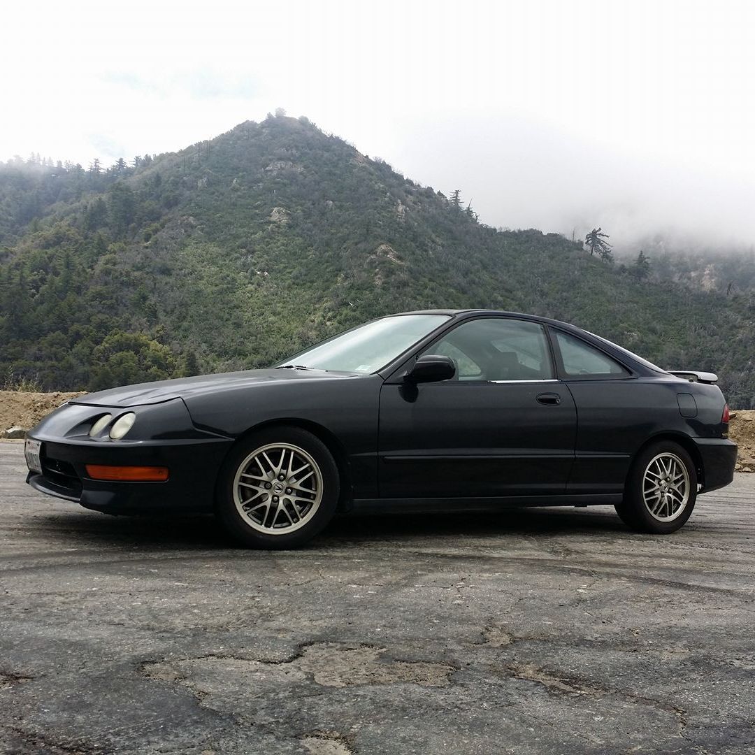 Profile of Steven Trang