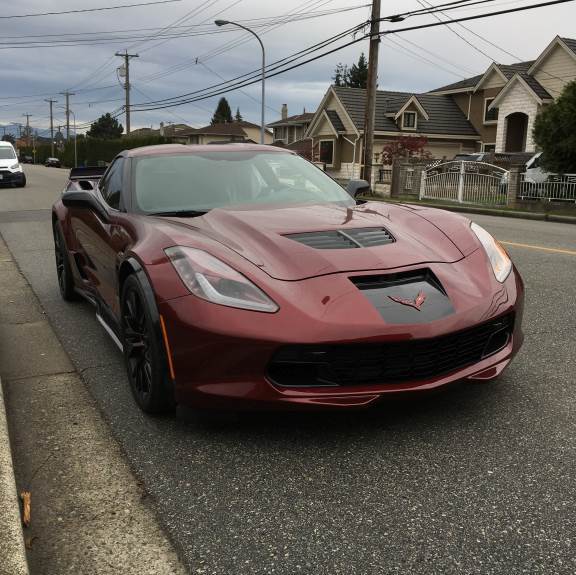 Profile of Pat Watson