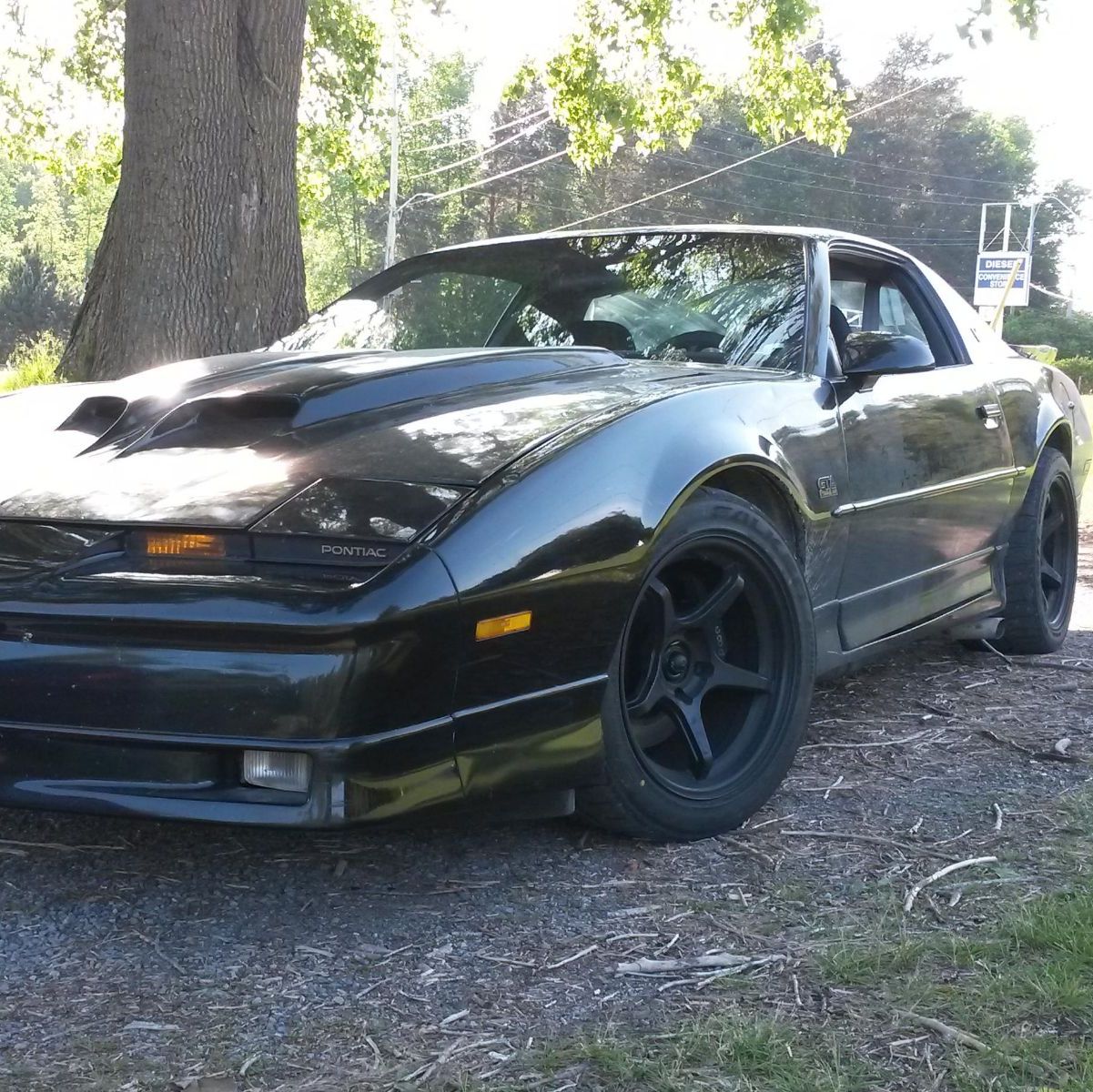 Profile of Peter Alexandris