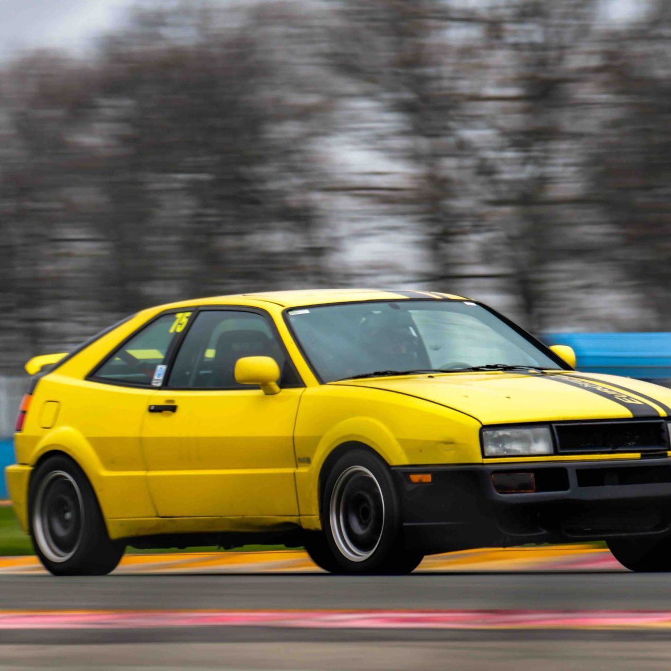 Profile of blair schulman