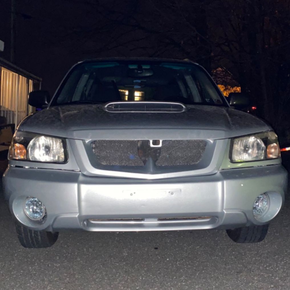 Profile of Daniel Cook