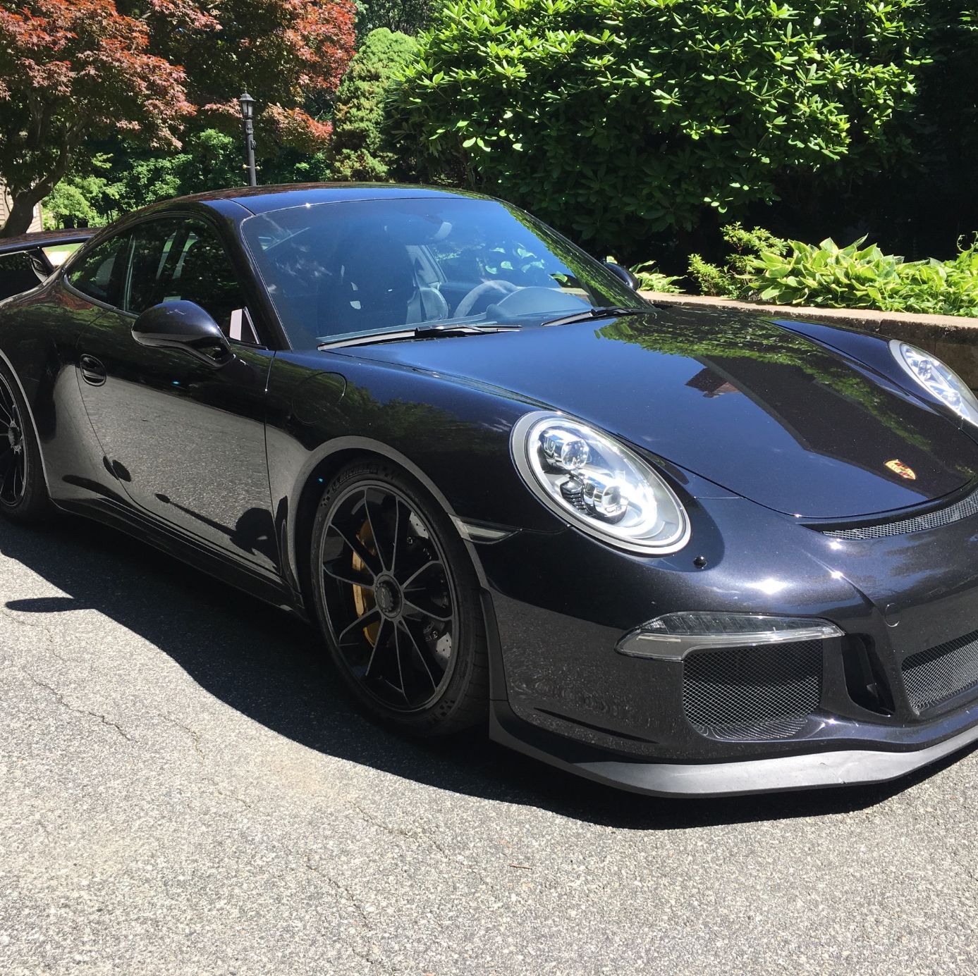 Profile of Darek  Porebski