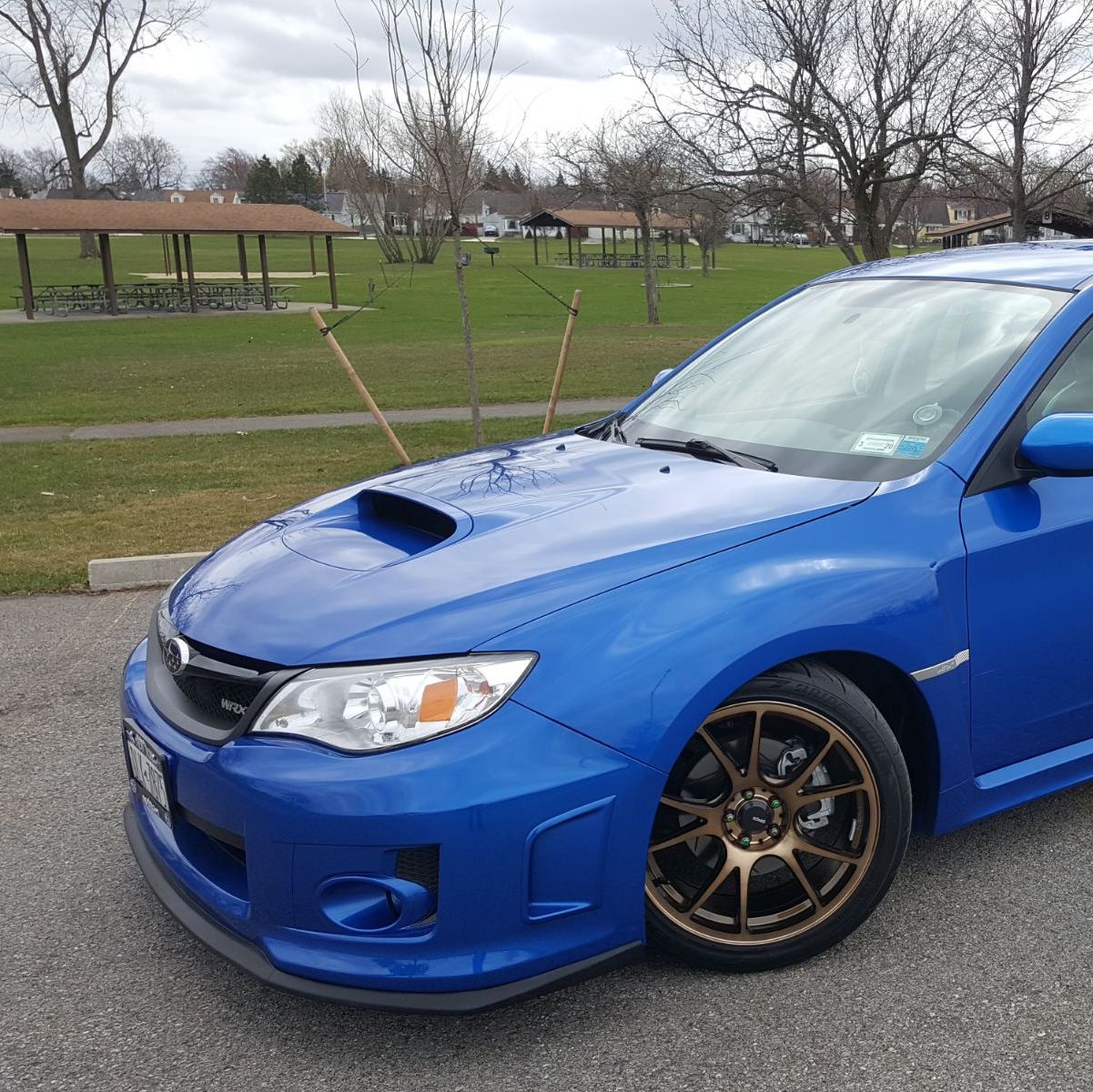 Profile of Adam Zebrowski