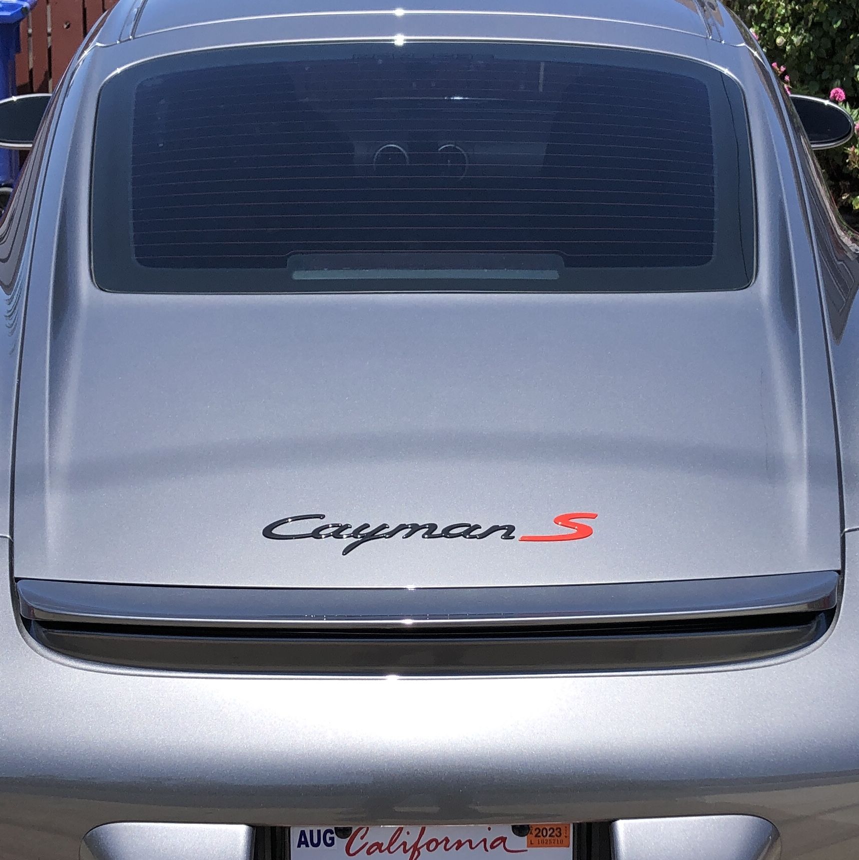 Profile of Vincent Cortese