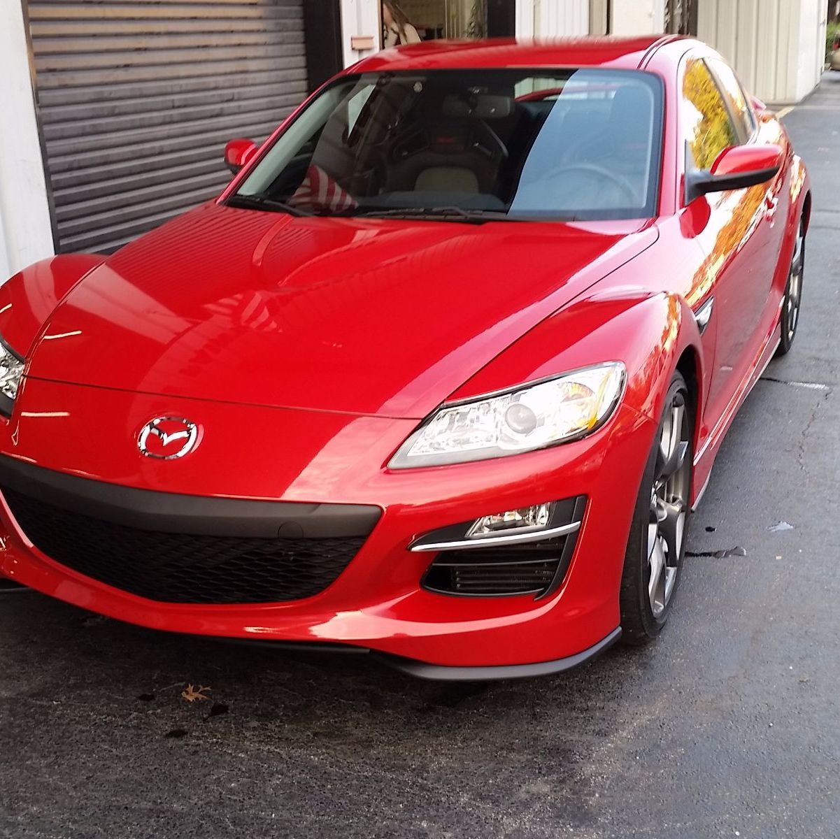 Profile of Luis Colón