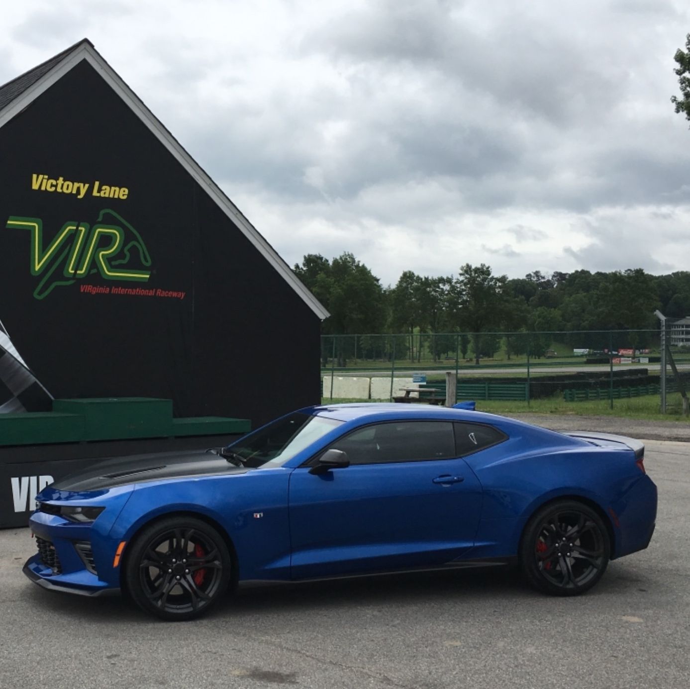 Profile of Vincent Moscato