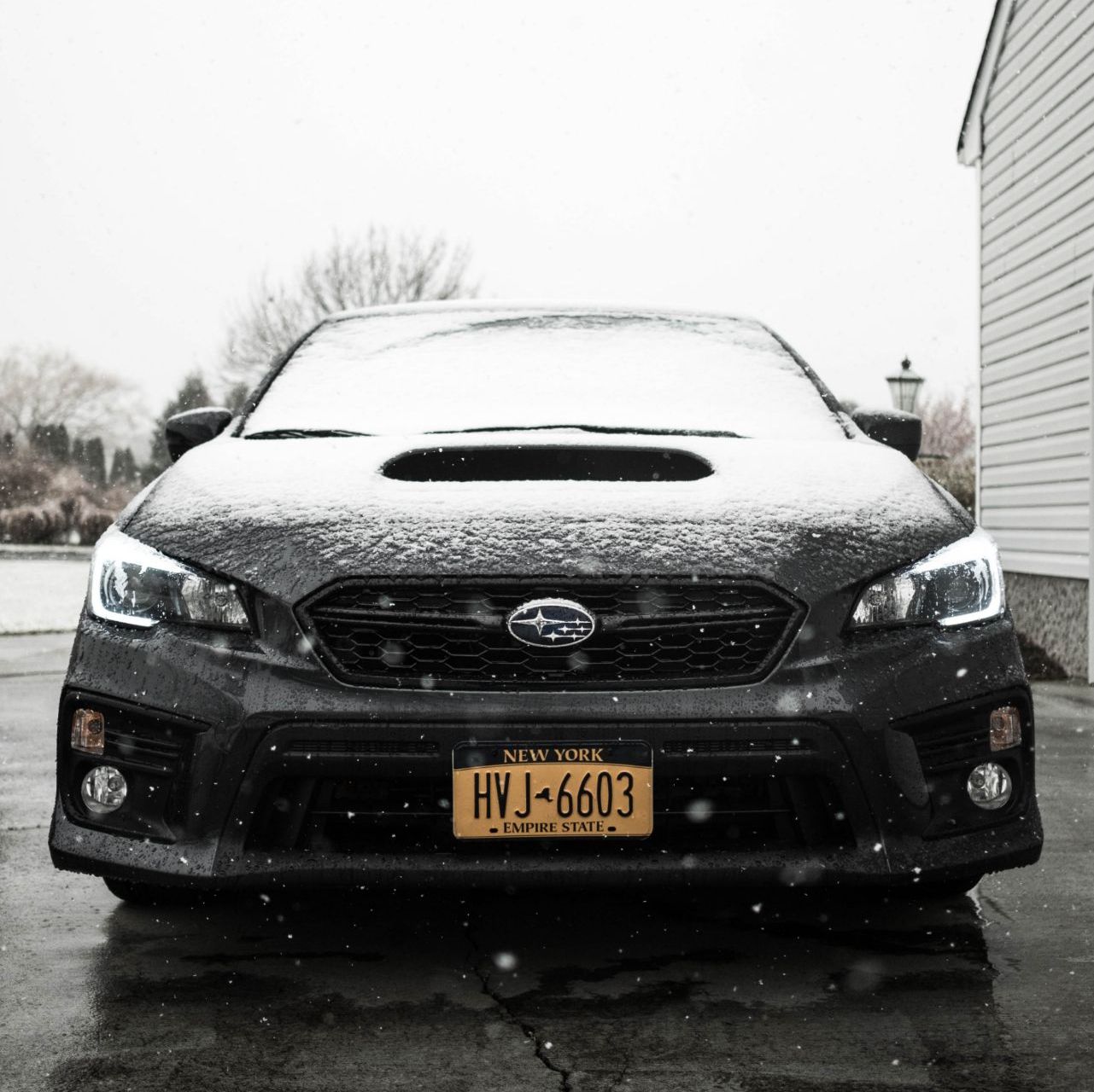 Profile of Darren Chan