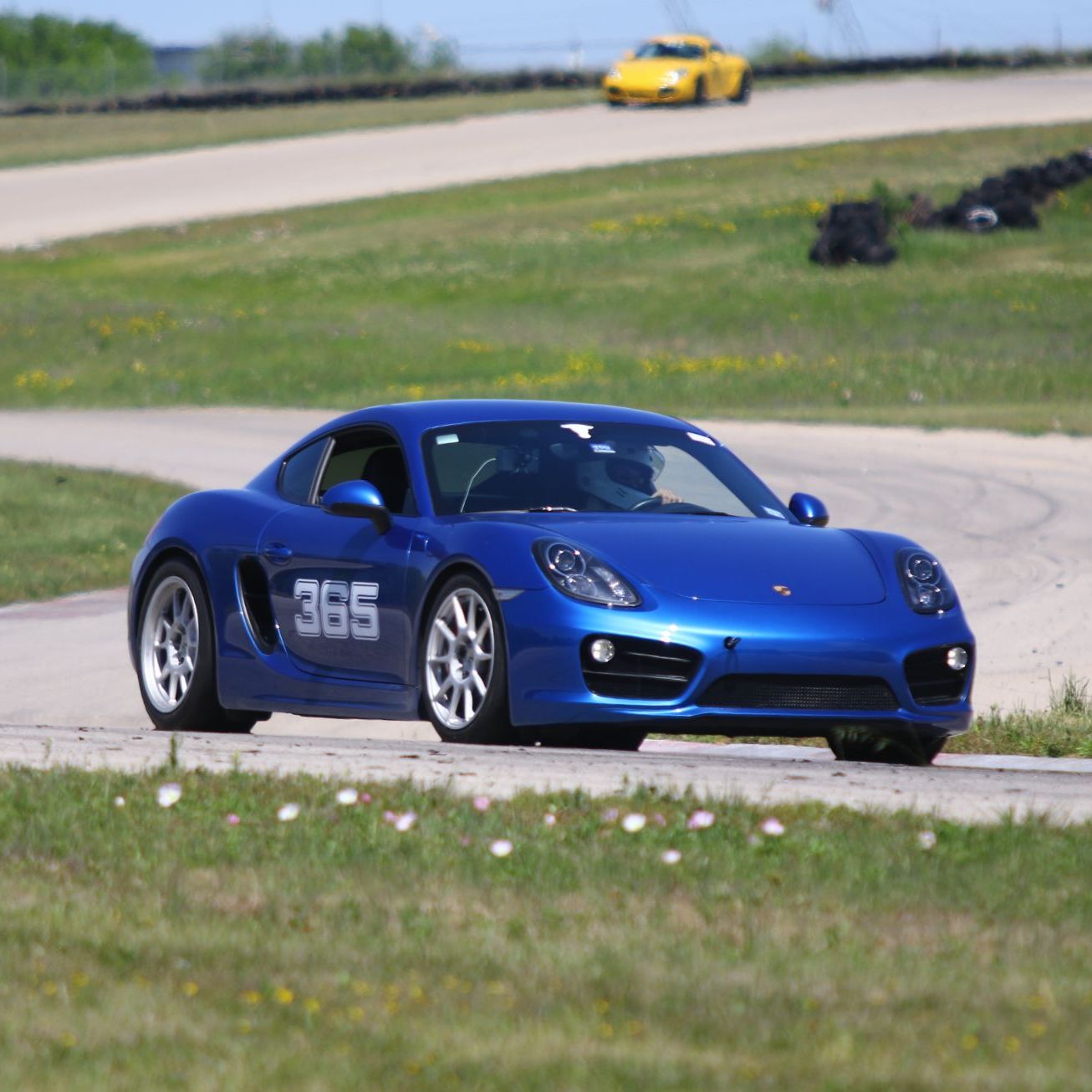 Profile of Debra Kidwell