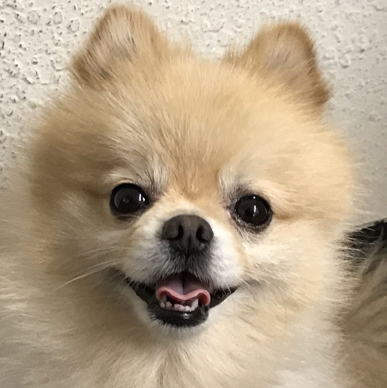 Profile of John Vargas