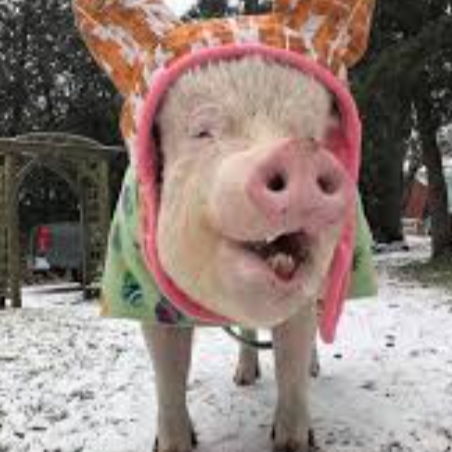 Profile of Michael Romac