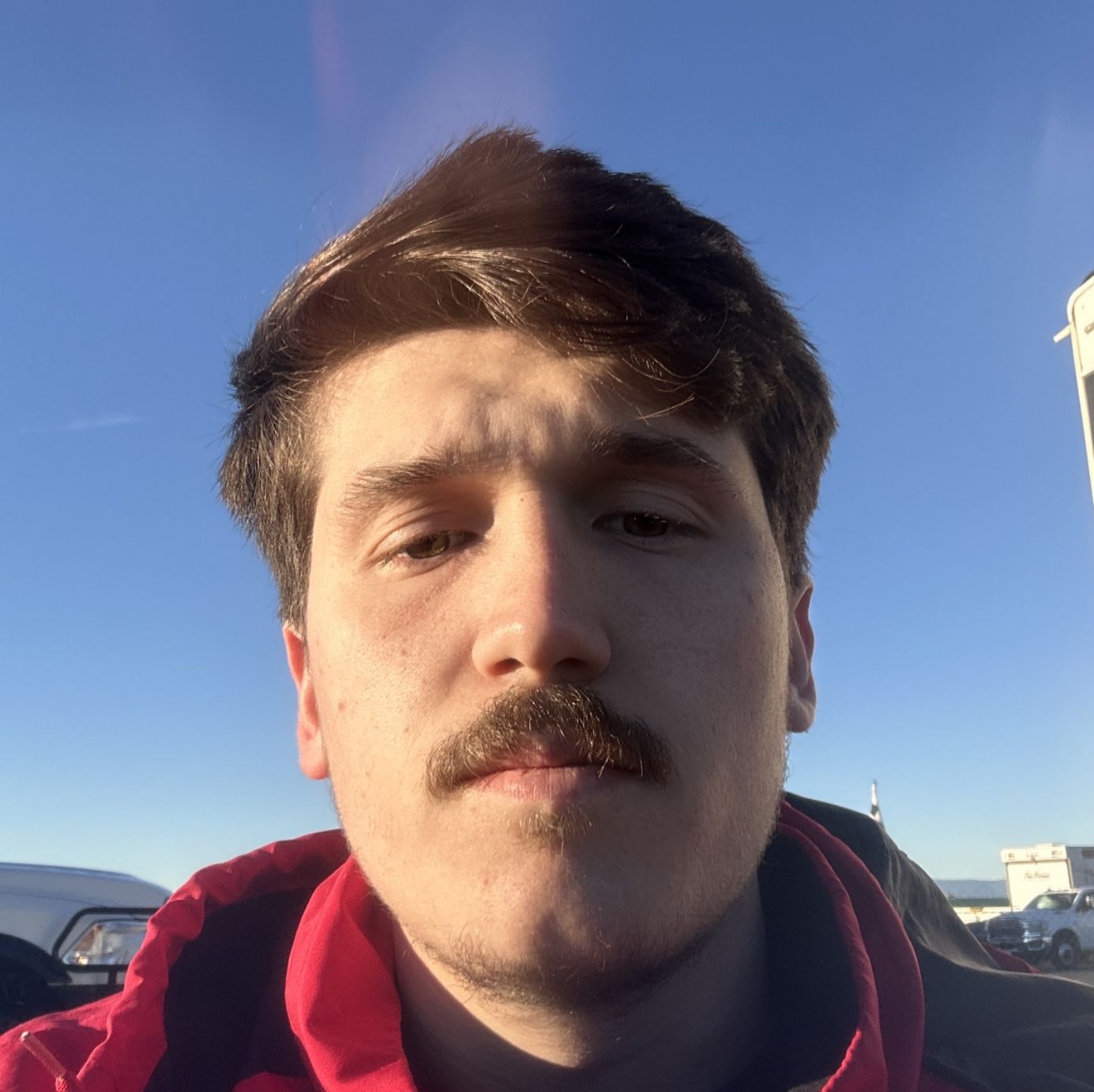 Profile of Matthew D