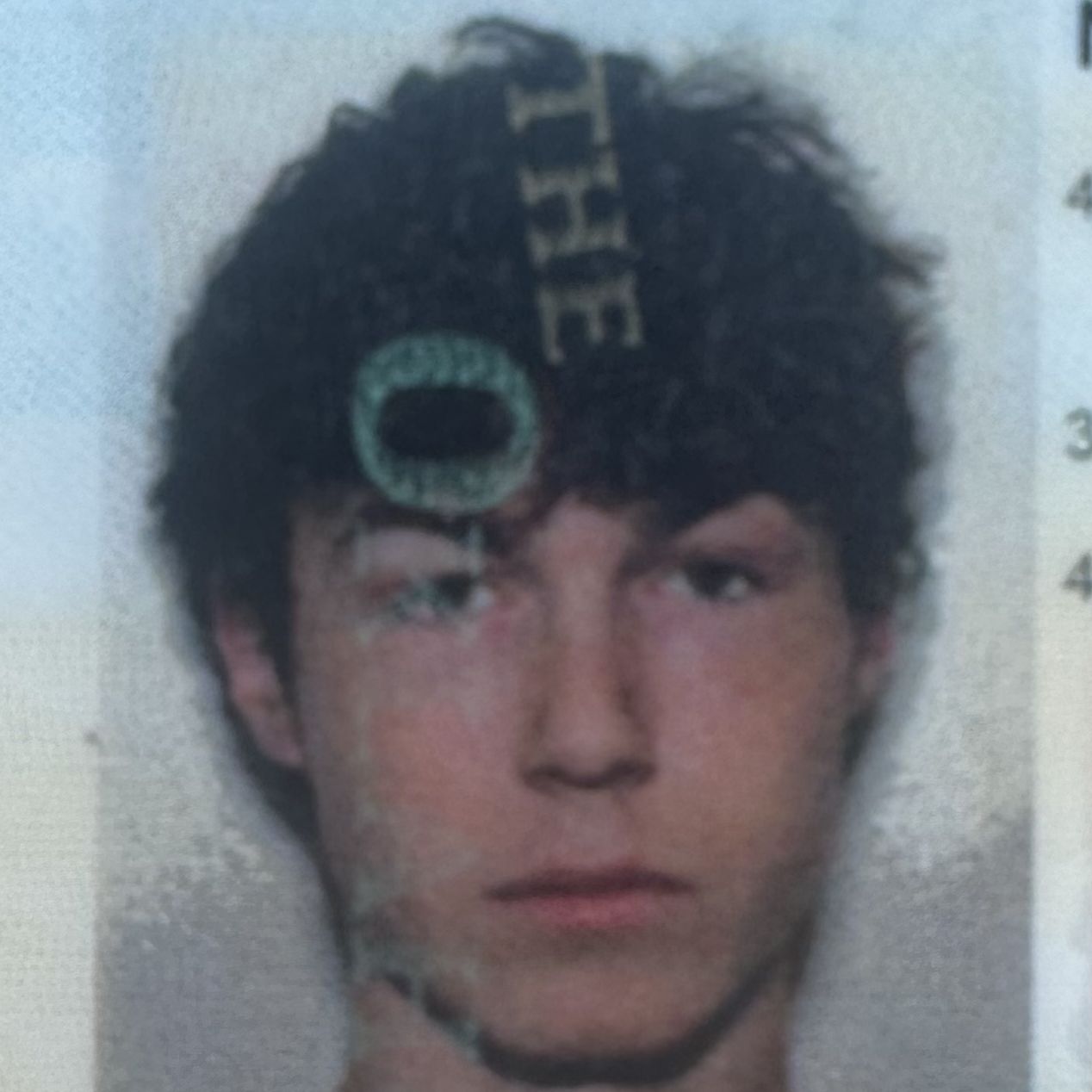 Profile of Braden Sundberg