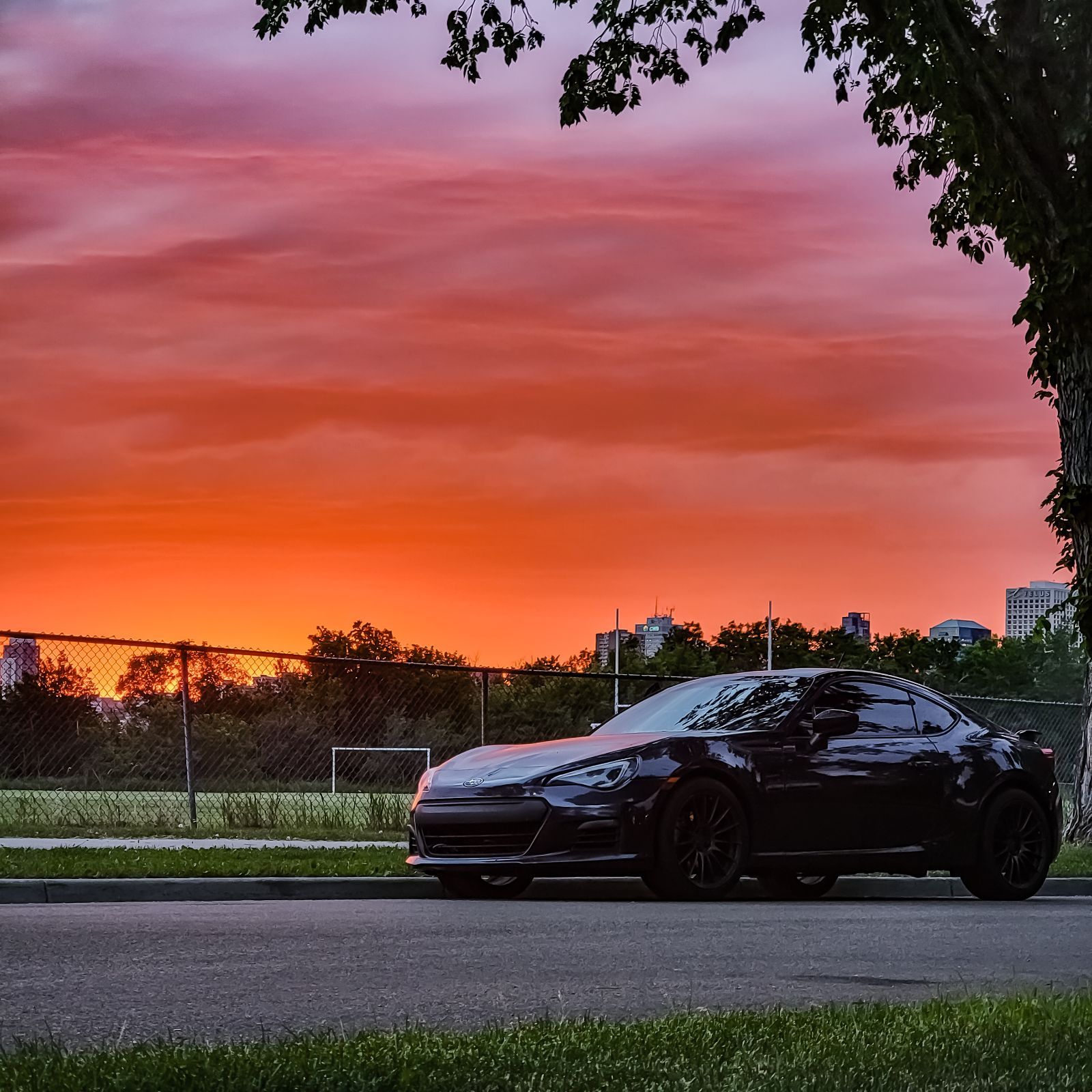 Profile of Liam Furlong