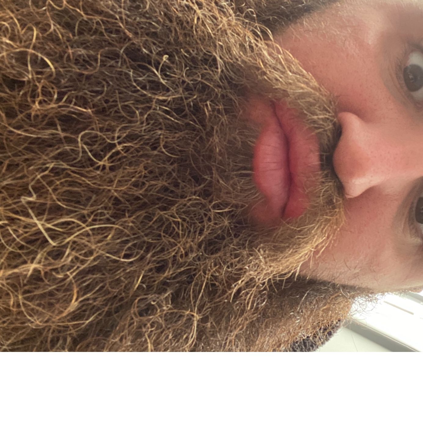 Profile of Michael Peres