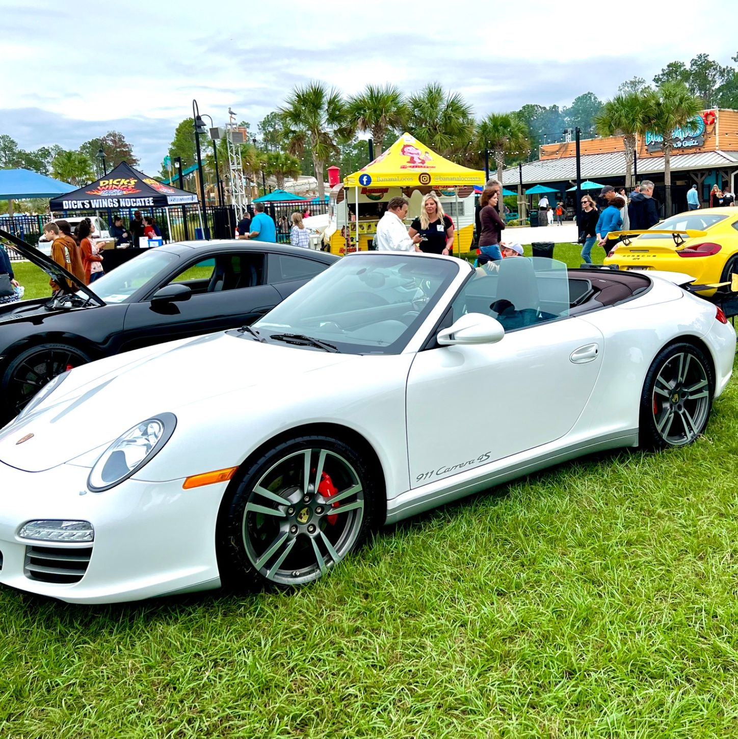 Profile of Suzanne Miles