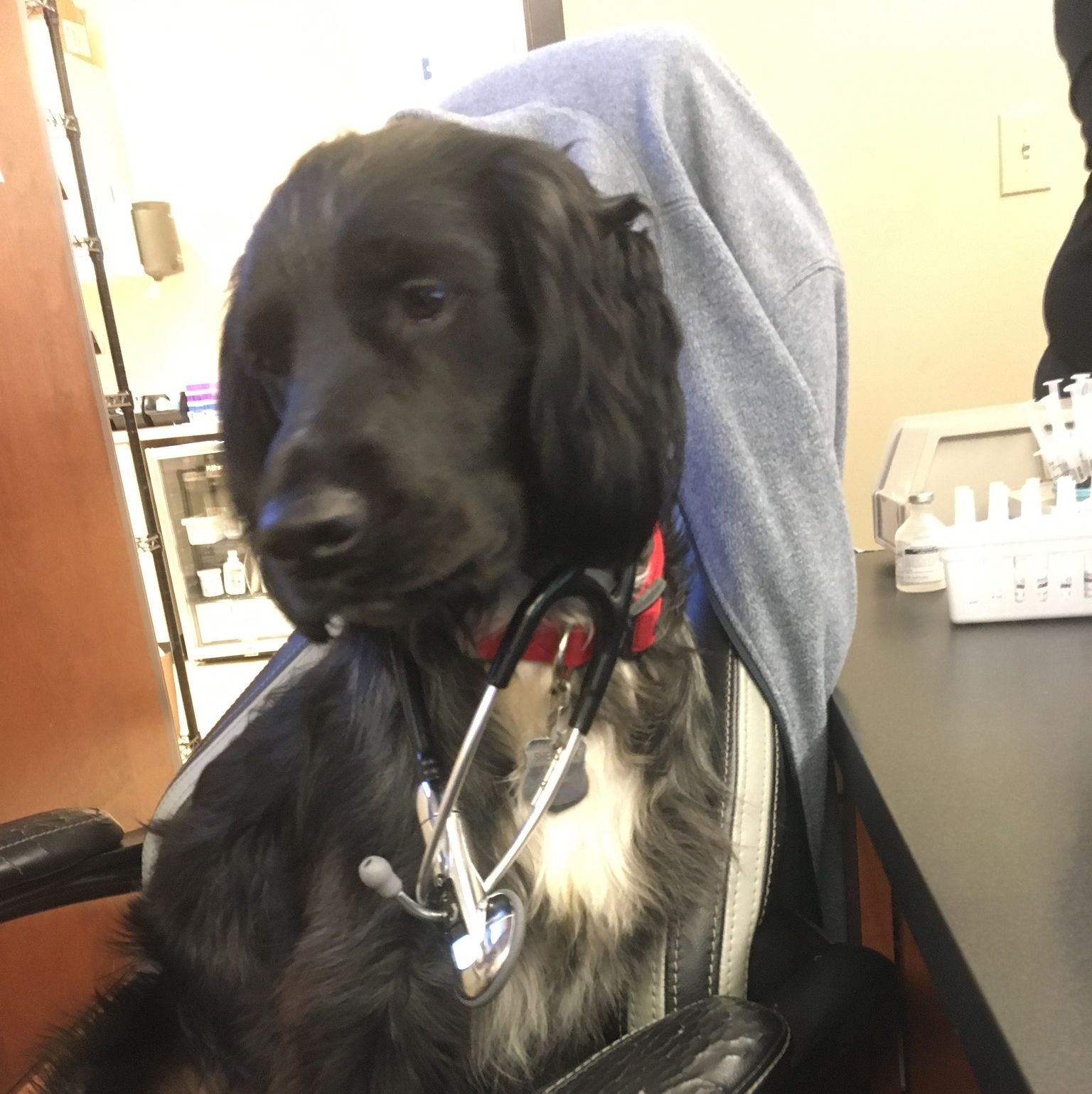 Profile of Ronald Perry