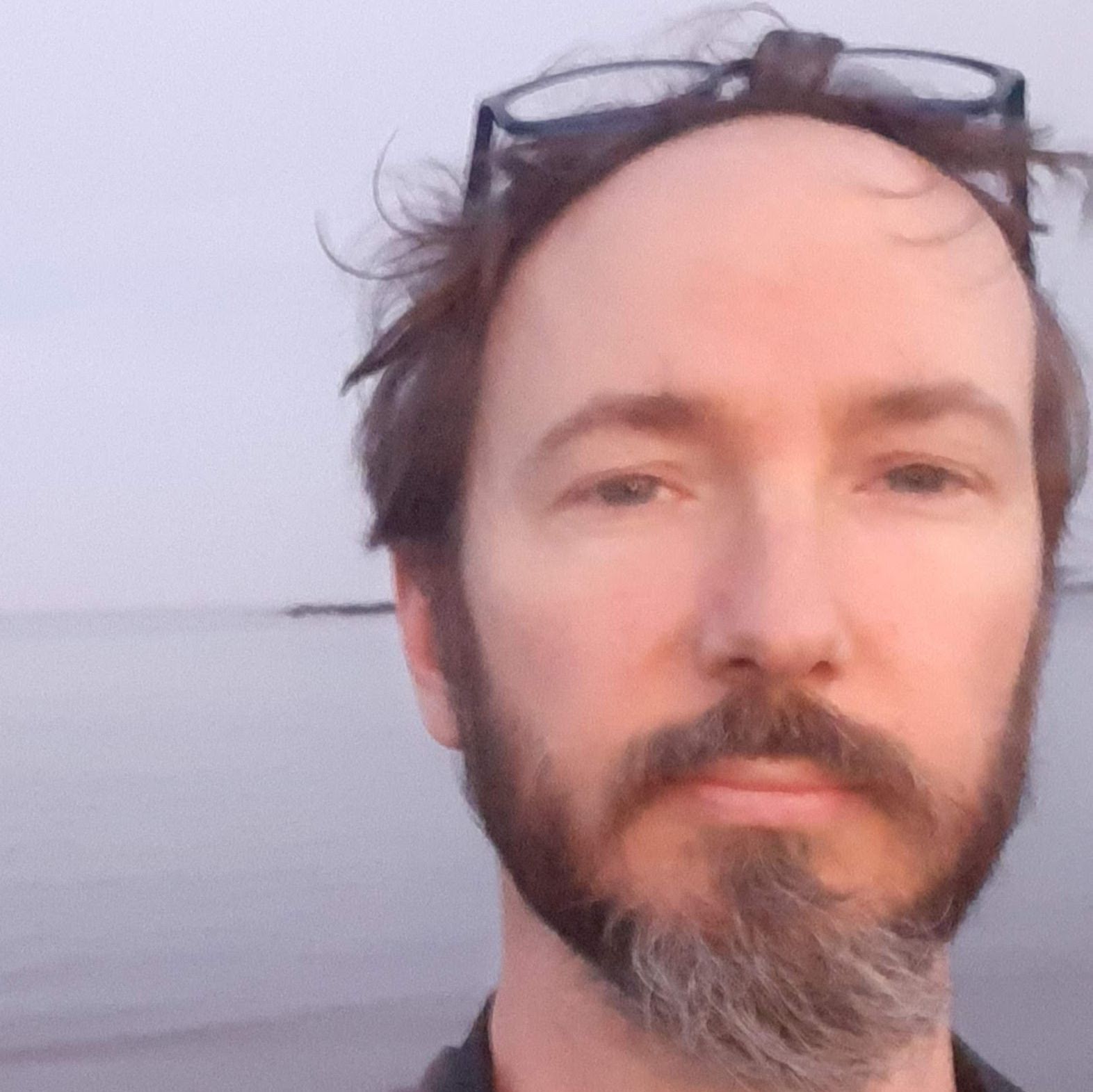 Profile of Chris Steiner