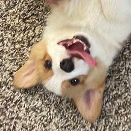 Profile of Dingkun Tang