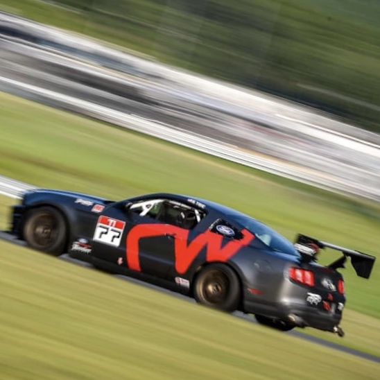 Profile of Stephen Tise