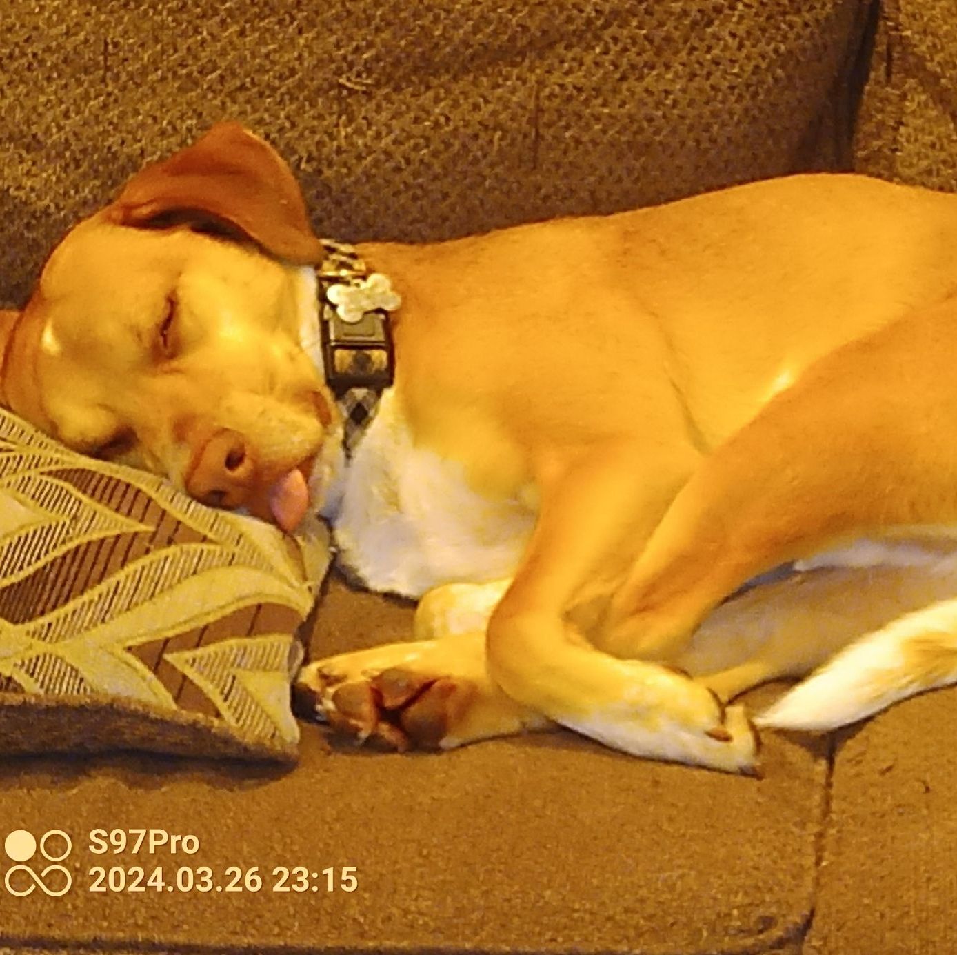 Profile of Martin Fournier