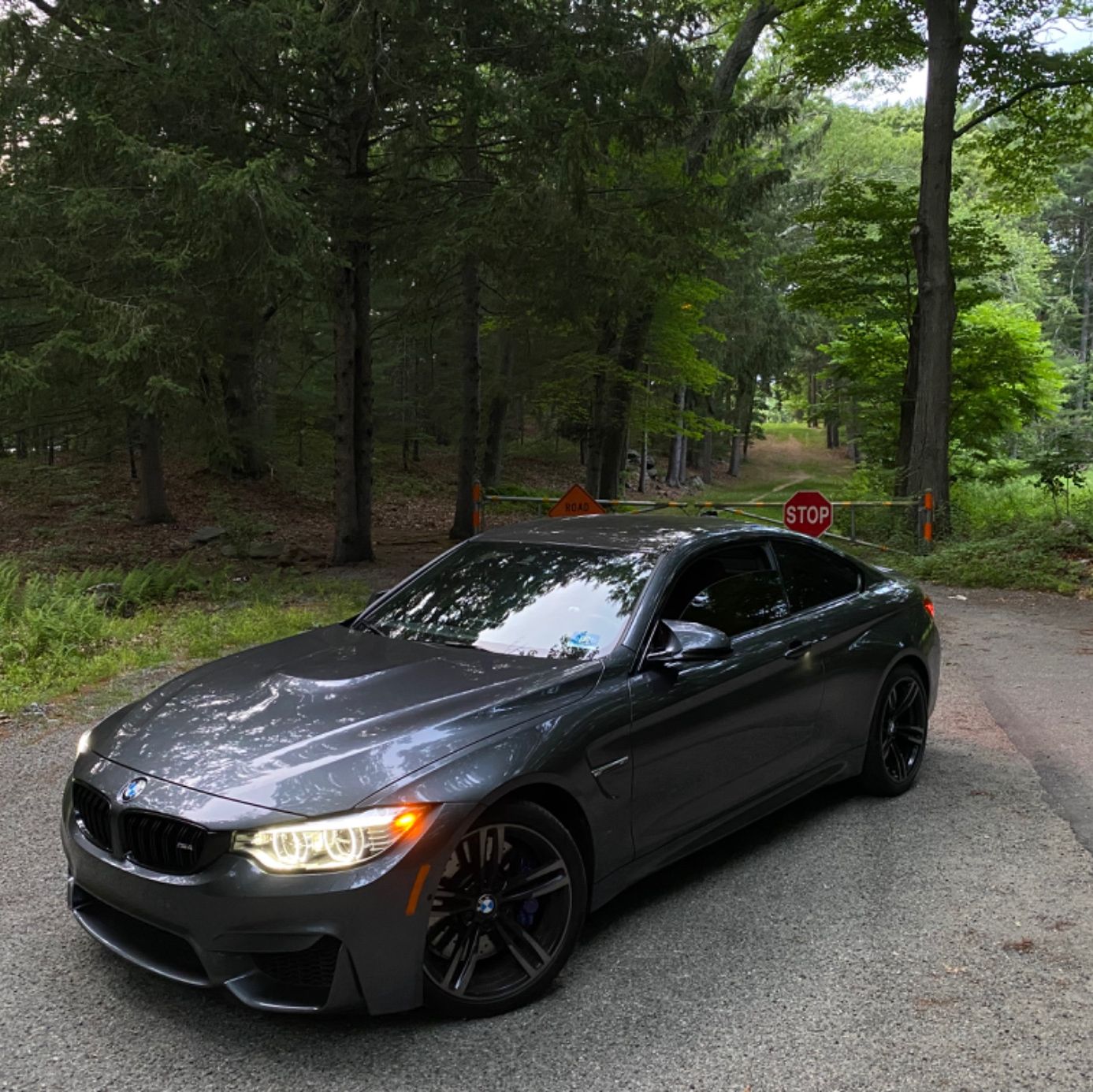 Profile of Christian Trigoso