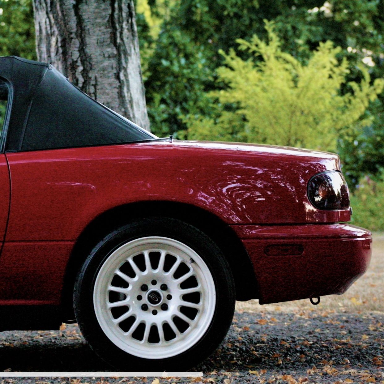 Profile of David Brambila