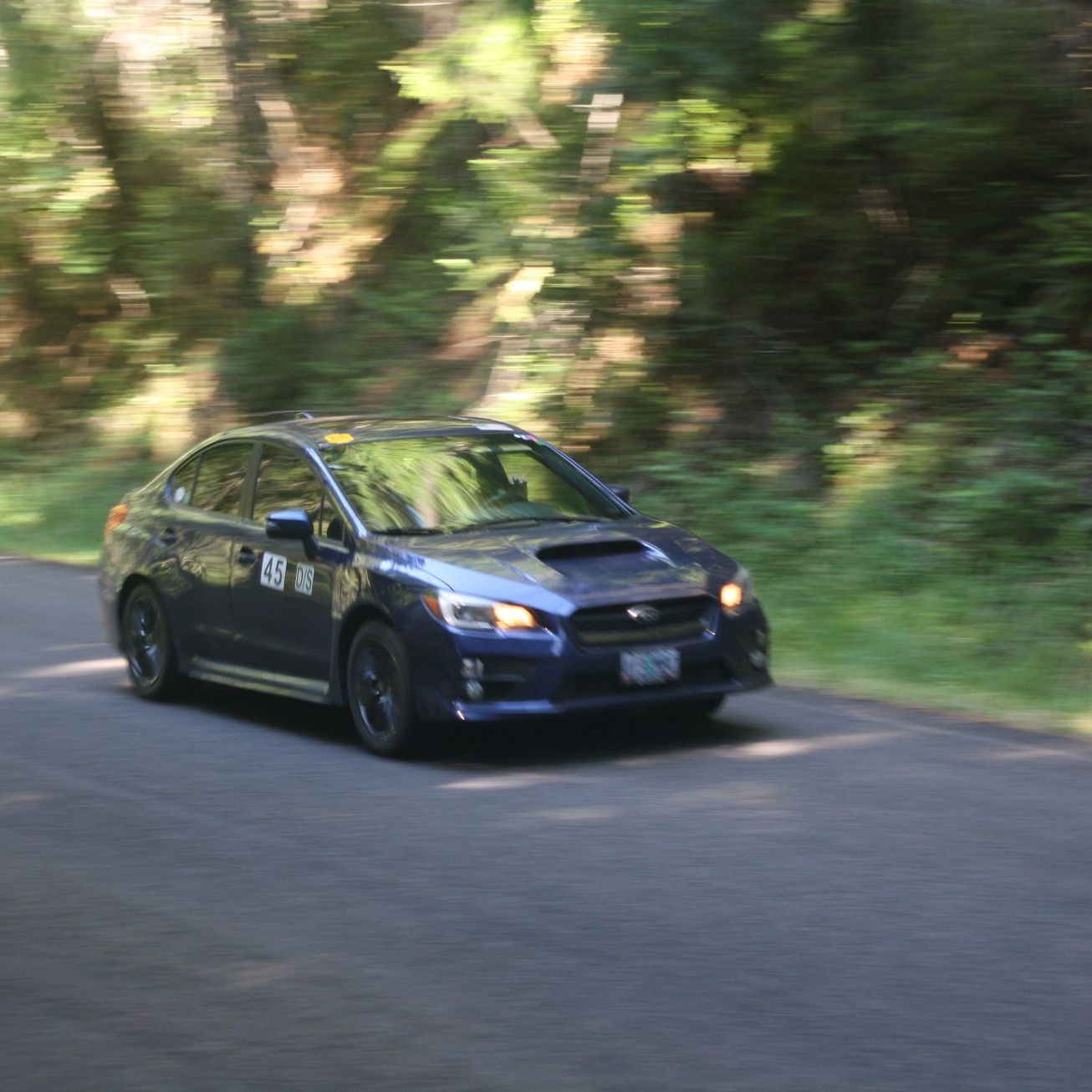 Profile of Andrew Hafner