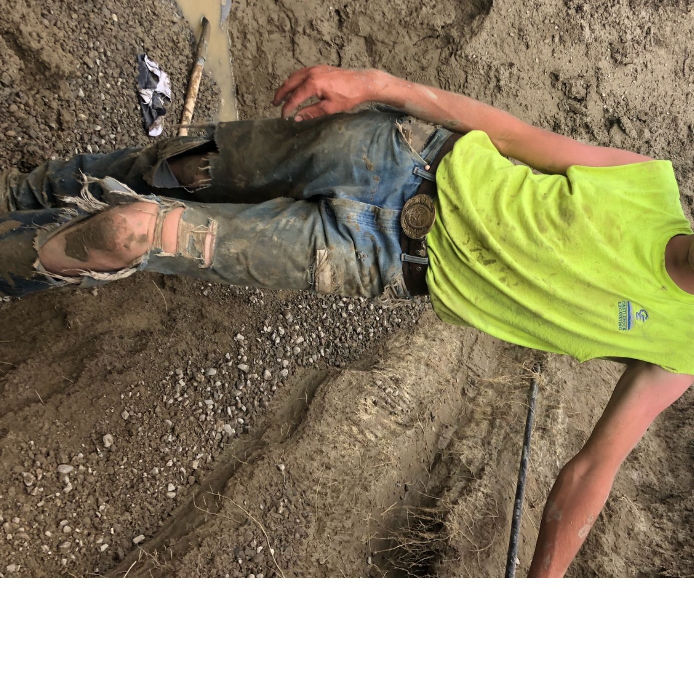 Profile of Raynor Stene