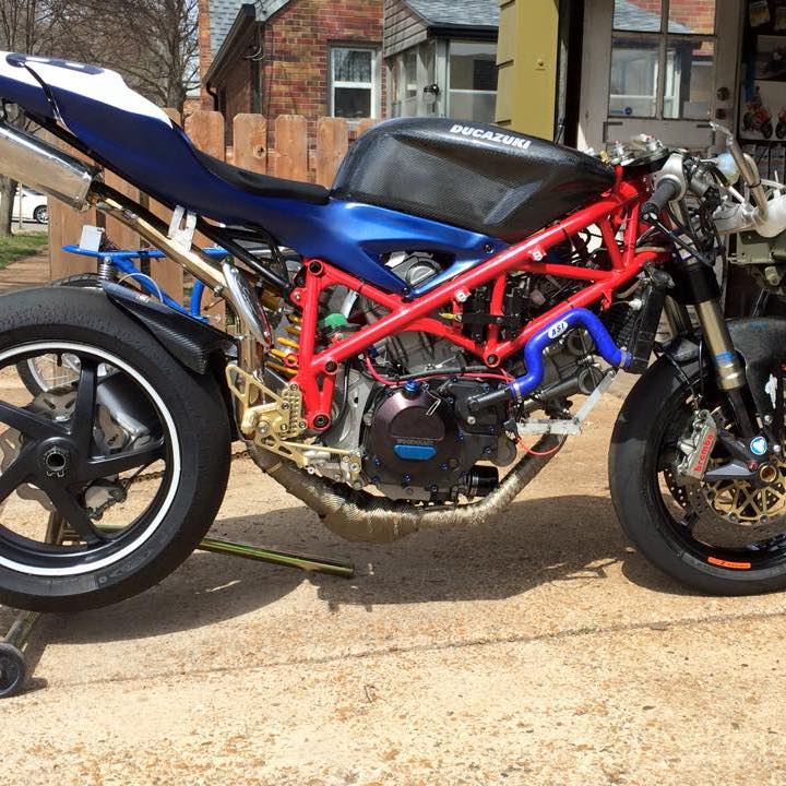 Profile of MARK COOK