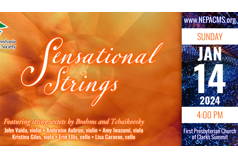 Sensational Strings (Clarks Summit)